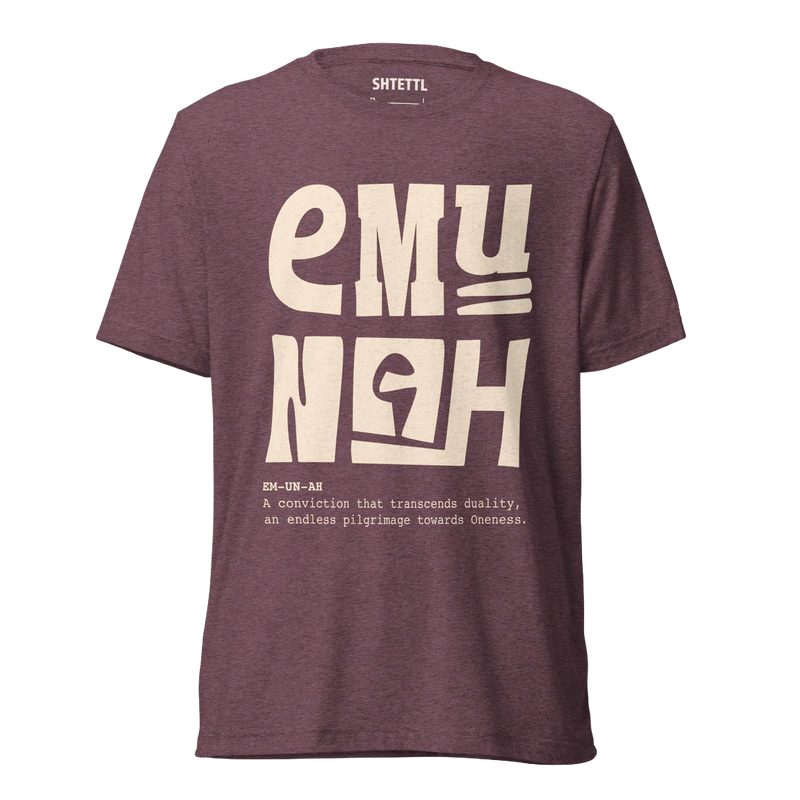 Emunah Unisex Triblend Tee
